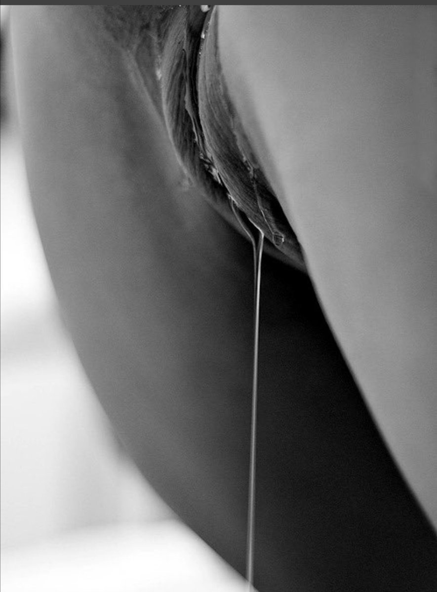 Девчонки в мокрых трусах