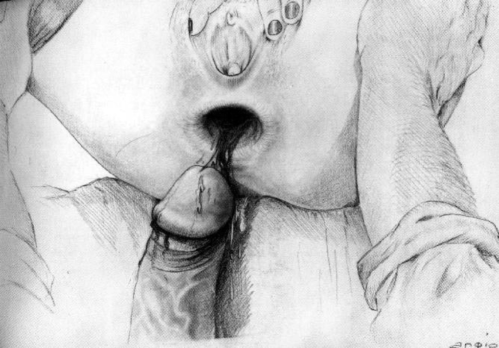 Рисованные голые женские попки