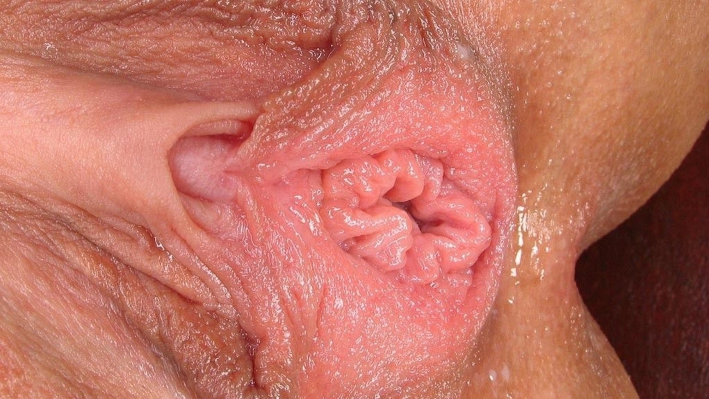 Самые длинные половые губки