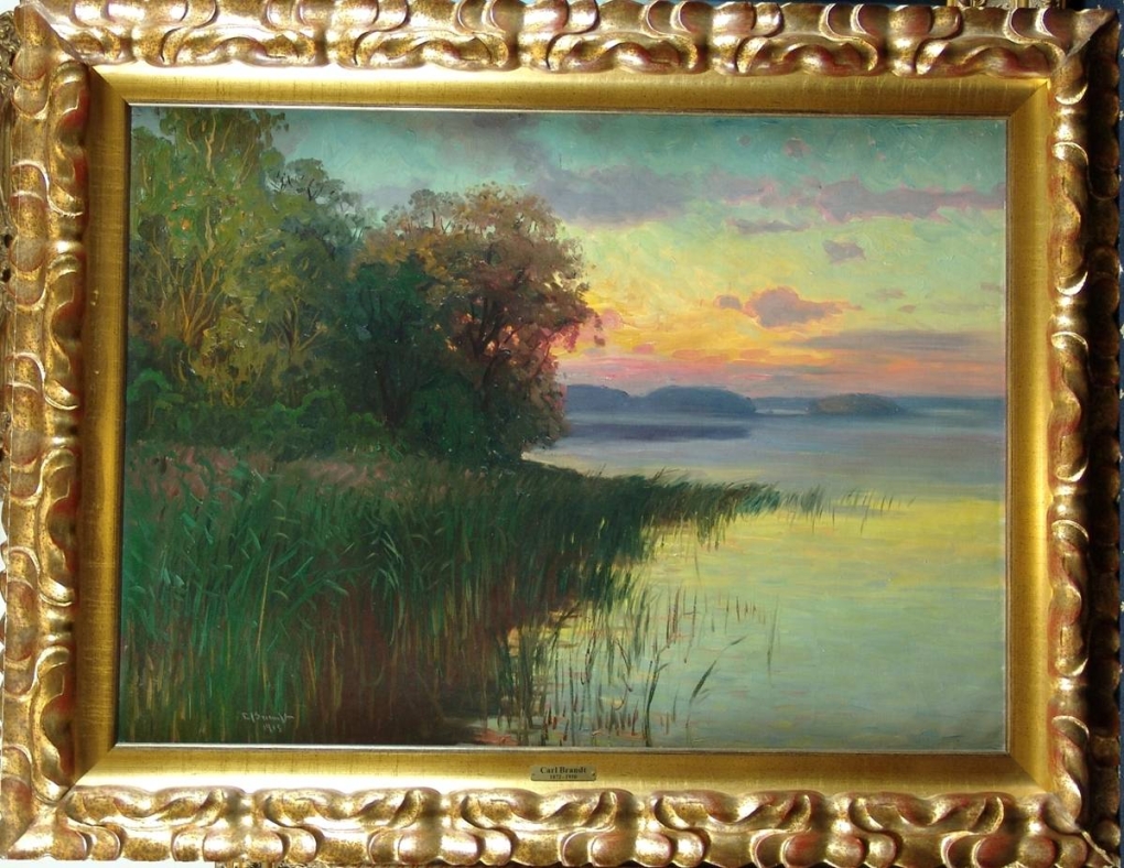 Плавниковая гниль у гуппи