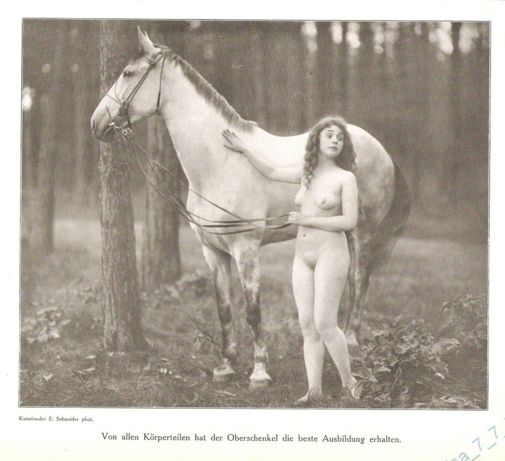June Palmer