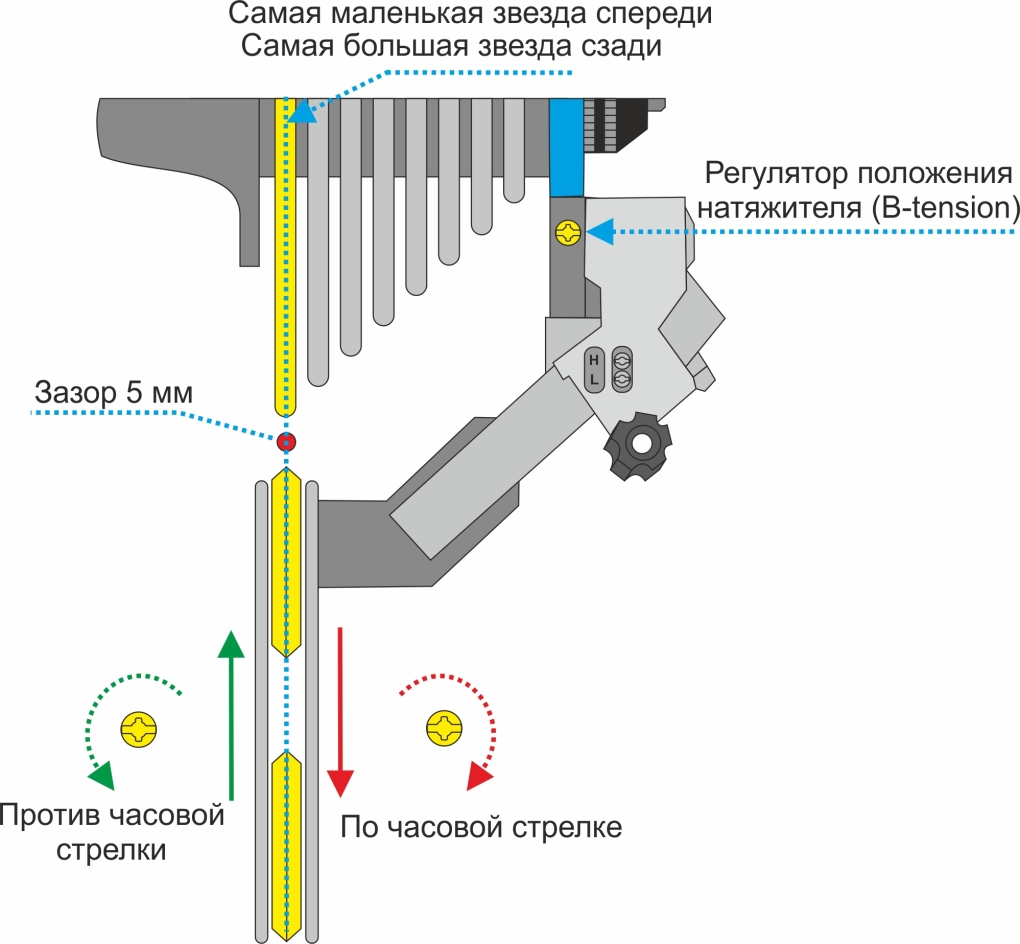 Тело человека спереди и сзади