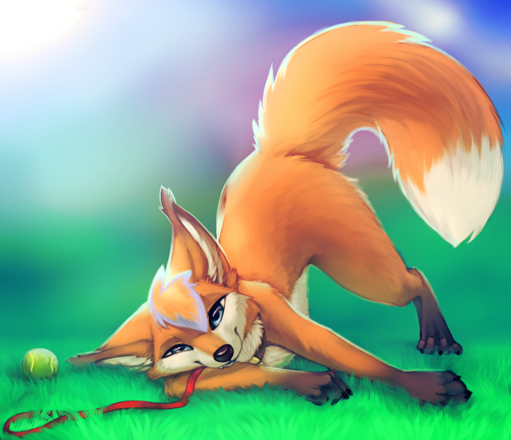 Rukifox фенек