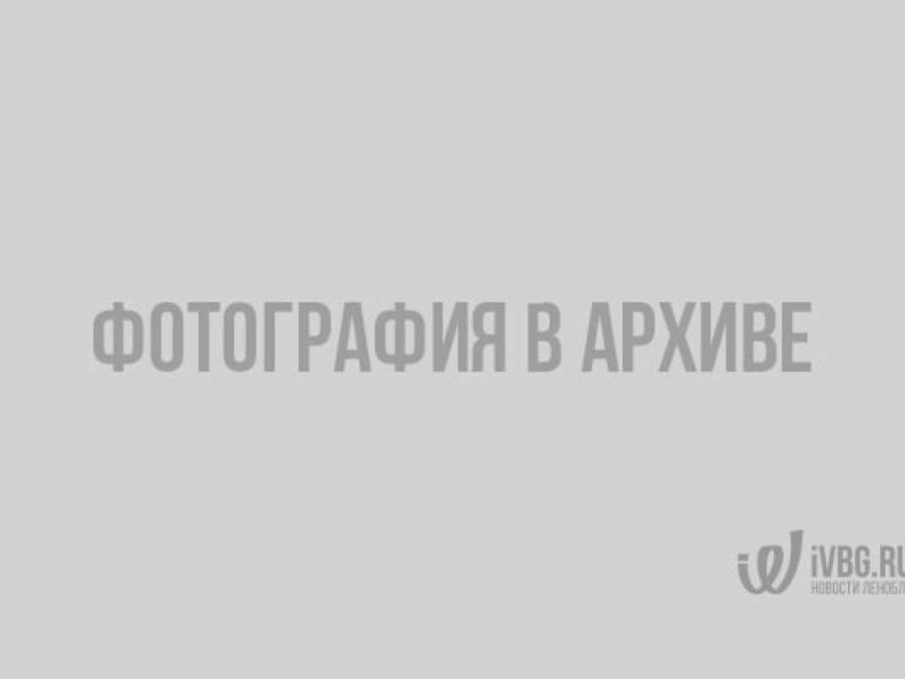 Элитные девушки Барнаул